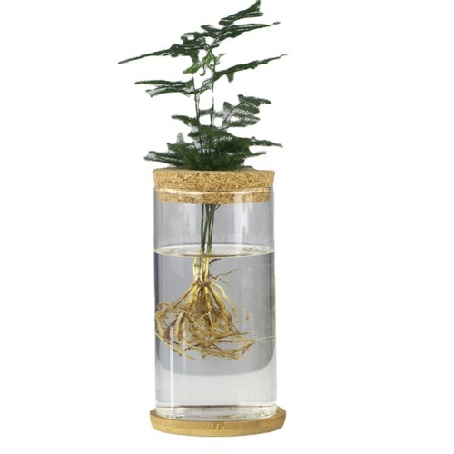 Creative hydroponic glass vase transparent micro-landscape ecological fish tank ornaments pothos water-cultured plant flower arrangement crafts