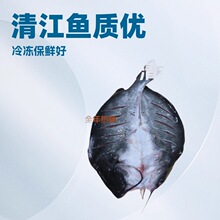 800-1000*12�l ���~�_���彭�~ �����彭�~ ���c��β�t�~ ���