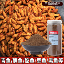 ~QӼۼÓ֬DTD~DCҰឺڿӝOD