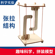 DIY�����ṹ��Ƽ�С�����ֹ�������ѧʵ�鷢��SETM�������ǽ̾�