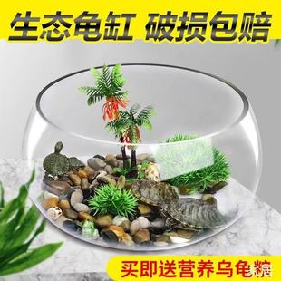 Desktop Creative Glass Fish Tank Small Living Room Round Hydroponic Thickeneded Mini Goldfish Household Turtle Tank Large Ball