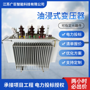 160KVA-10/0.4�S�ҹ�����늘�׃���������ͽ�ʽ���׃����