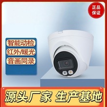 经典双光定焦海螺网络摄像机室内半球带录音监控