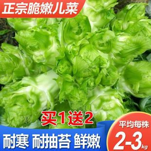 ƷĴ˷N 챧ӽ޲փ＾ļ߲