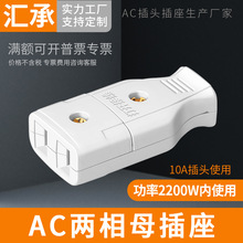 两脚母插座AC220V两相插座10A电源插头对接电气工程电工接线头