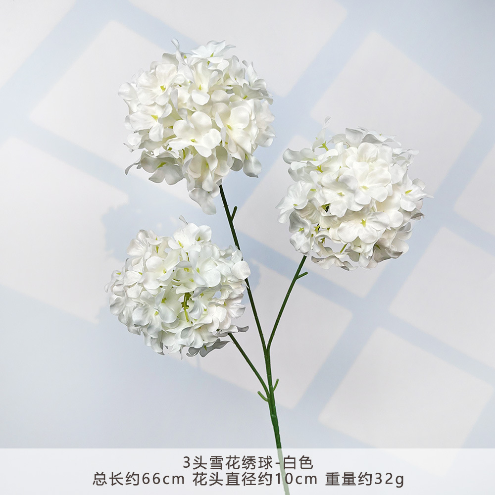 HXX-3 ดอกไฮเดรนเยียสีขาว