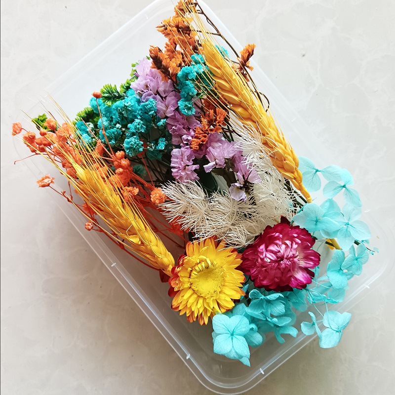 Festival bricolaje hecho a mano material de flor eterna planta flor seca florero flotante aromaterapia flor seca abanico de material paquete al por mayor