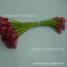 �ӹ��������M���Ӿ��� �p�^�D�Q���^��  ���M���