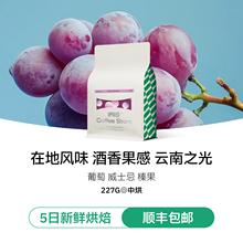 ���֮����ʽ���ȶ�ׯ�@��IRIS���ȼt���������������Օ�