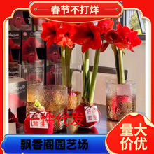 ��������피t�M���ذ�N���Ϸ�����������Ե����ļ��ɷN�F؛