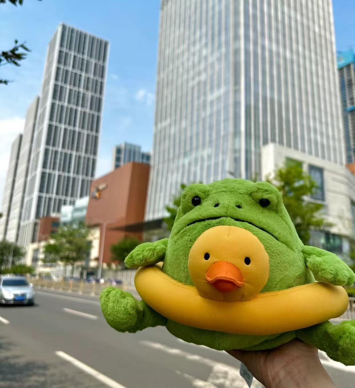 コレクション1;