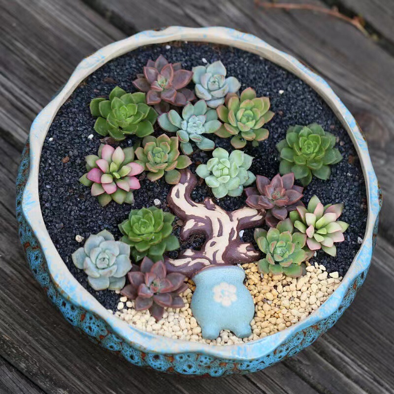 Large caliber fleshy flowerpot breathable stoneware green plant creative platter ornaments ceramic oversized fleshy pot wholesale