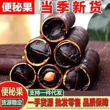 便秘果腊肠大解神秘果 地摊展销货源优质便秘果神奇果大货批发