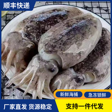 ���r���ī�~�����r���ك���ī�~����\Ŀ�~ī���~ˮ�a���r���l