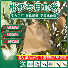 枇杷套袋袋芒果纸袋防水防鸟虫育果袋枇杷芒果袋果树水果套袋