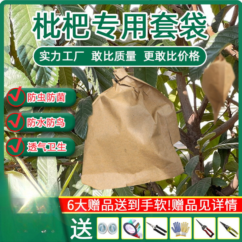 Loquat Bagging Mango Paper Bag Waterproof Bird and Insect Proof Fruit Bag Loquat Mango Bag Fruit Tree Fruit Bagging