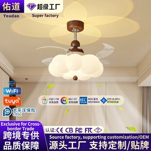 LEDȫ���V�[���L�ȟ������L��������L�ȟ��ǿ��Ϧꖕ������ȟ�