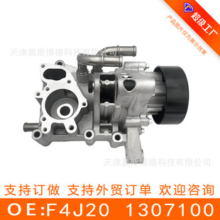 �m��������;��;2.0T ��sѭ�hˮ�� F4J21 ˮ�� �S��ֱ��