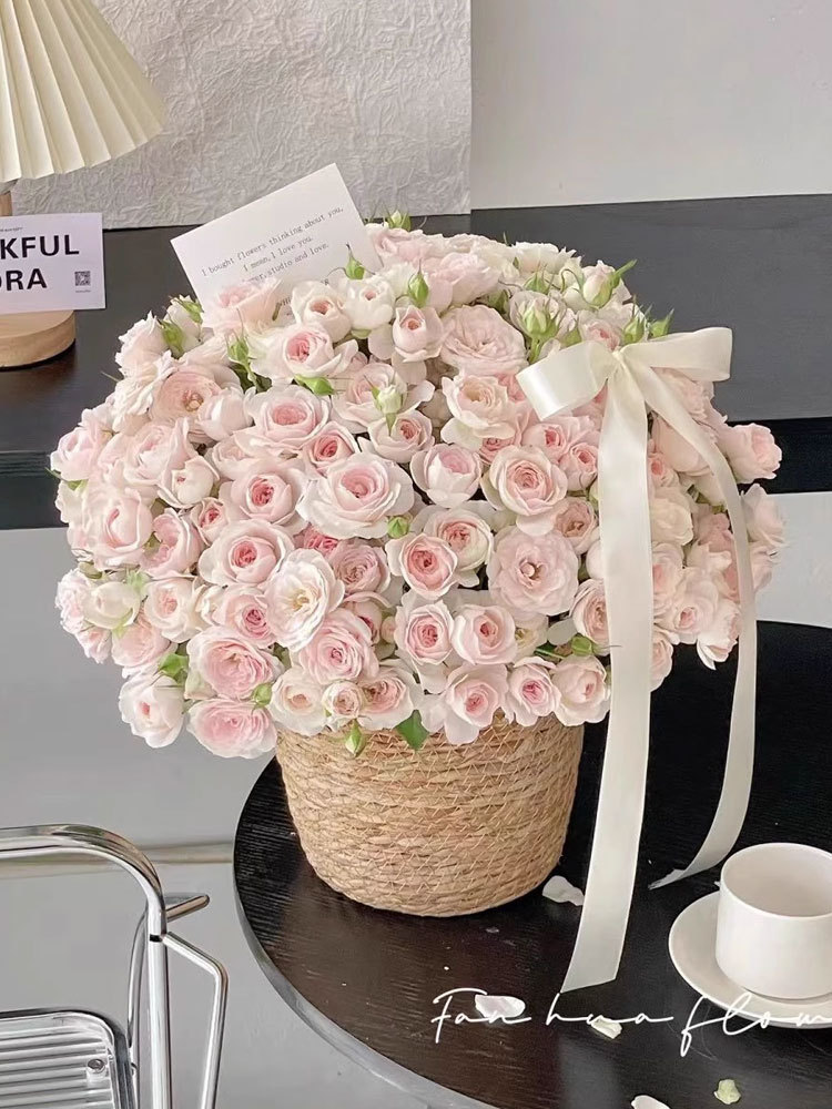 O1CN0177vJwB1zu5QPydjon_!!3546