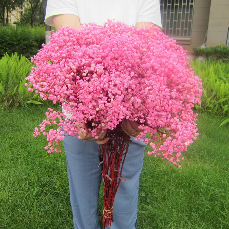 라이트핑크(450g)±30g