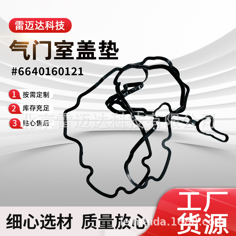 Shuanglong Valve Cover Gasket 6640160121 for Ssangyong (Valves and components)