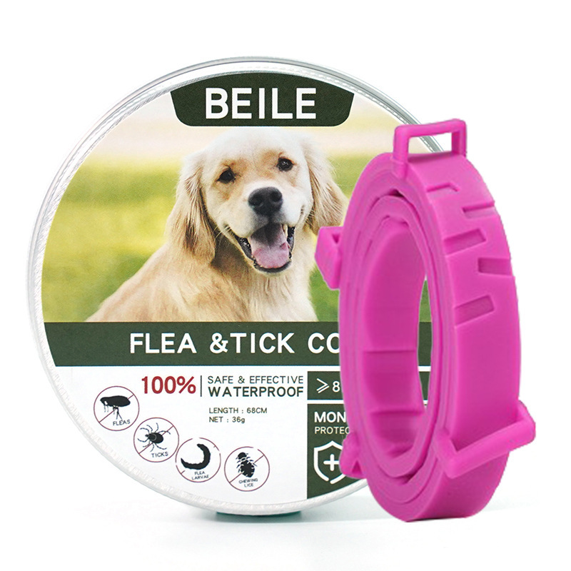 새로운 녹색 상자 긴 분홍색 칼라