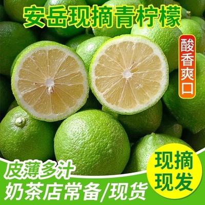 Anyue Green Lemon Home Orchard fresh fruit Now pick Now send Thin Tea shop Standing Juicing lemon