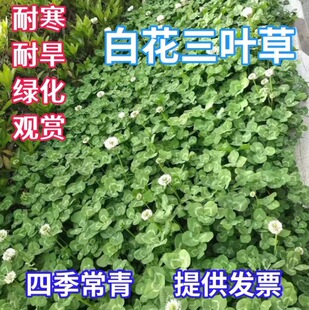 �����~�N�Ӽt���~�N�Ӷ������ļ������o�;G�ͺ���ƺ�N�Ѳ�����