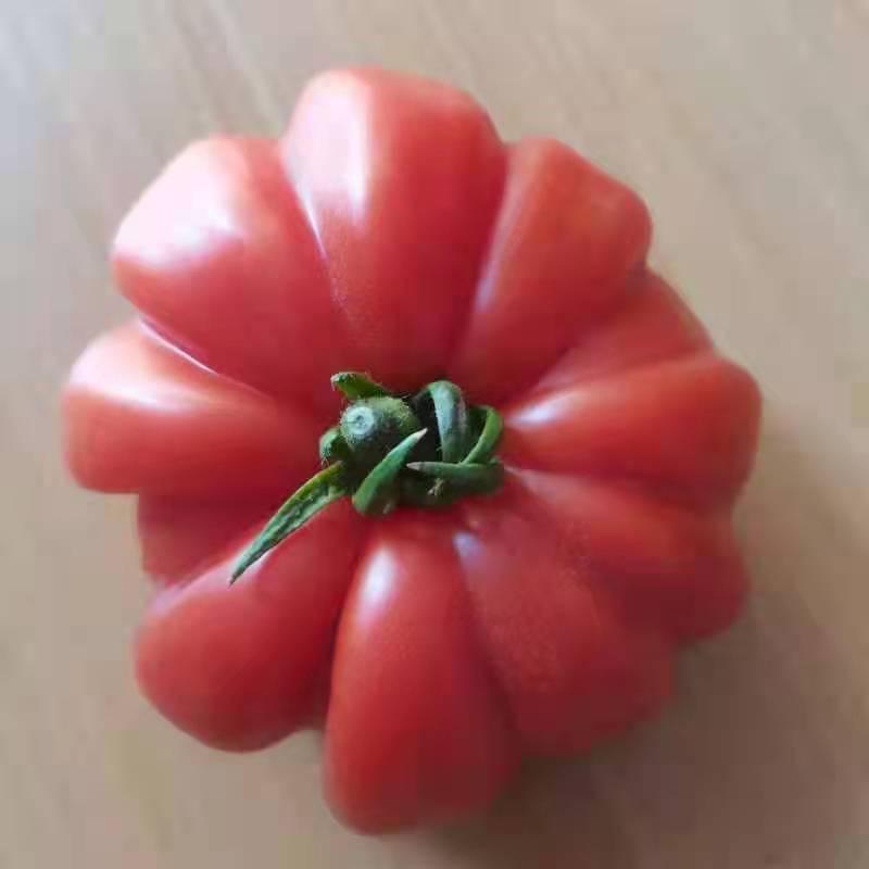 马蹄番茄20220322203635