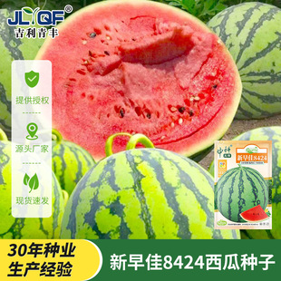 �����8424���ϷN��ˮ���ļ��Nֲ�̨��߮a������Ƥ���ϷN��