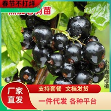 һ�����l�ڼӁ���������̨���Ե��Ԯ���Y�����\���t�����ͺ���