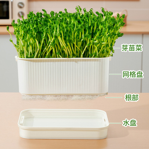 Seedling tray sprout vegetable tray planting germination pot bean sprout artifact yellow mung bean sprout soilless cultivation hydroponic tray