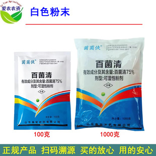 100g 1kg 75%�پ���׾���پ���������rș�S�ϰ׷۲����������F