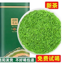 信阳原产绿茶茶叶特级2025新茶高山云雾春茶炒青毛尖散装茶自己喝