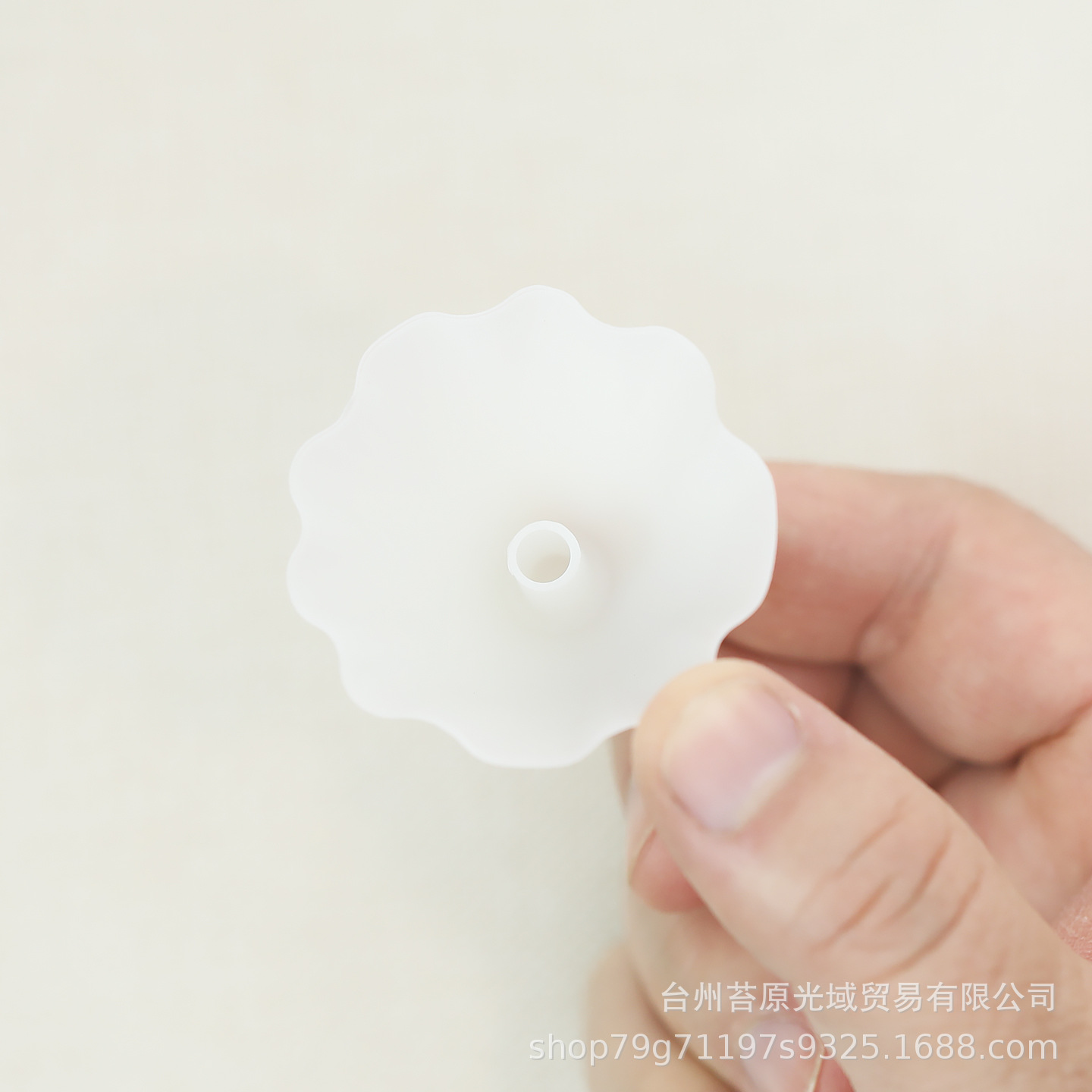 蘑菇一8.JPG.jpg
