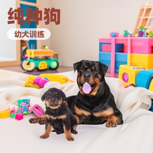 ���N�_���{��Ȯ���w����ϵ�_���{�o�lȮ����Ȯ��Ȯ����Ȯ���l���w