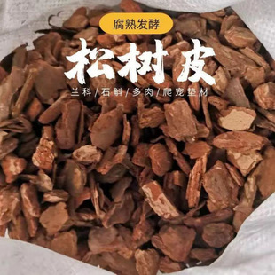 �ɘ�Ƥ�l�͸����m�������àI�B�����ֲ��ʯ�������m���[