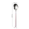 Dessert spoon stainless steel for ice cream, Germany, internet celebrity