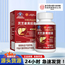 北京同仁堂内廷上用灵芝姜黄胶囊 增强免疫力保肝护肝无痕代发