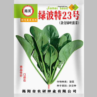 �����s���G�~���˷N�� �͟��ͳ�̦�;G������ �r�I�߲˷N��400��