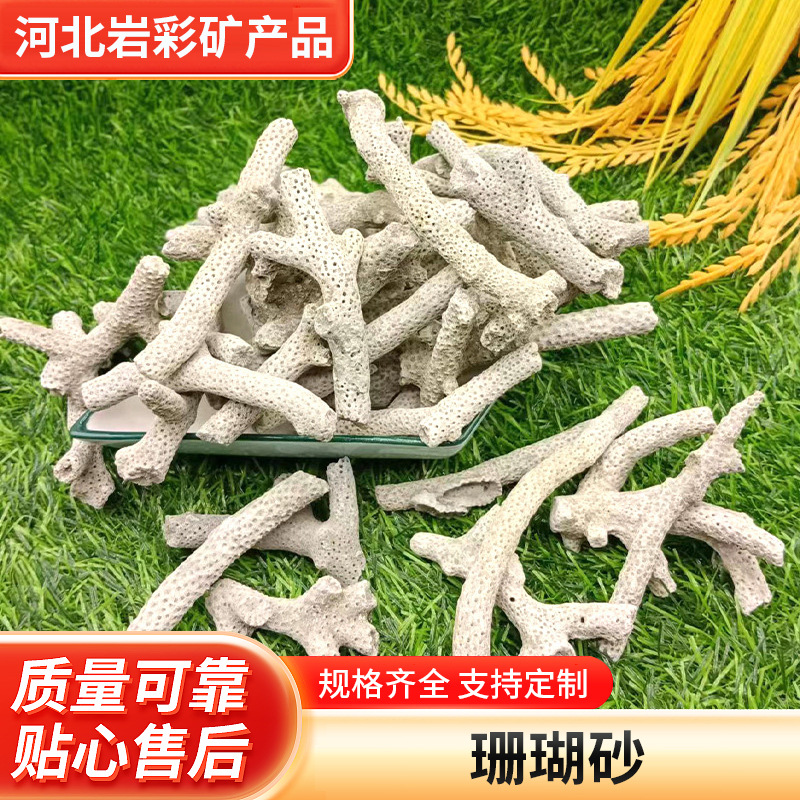 水族鱼缸过滤造景材料用珊瑚骨料  水处理净化珊瑚石 养殖鱼池底