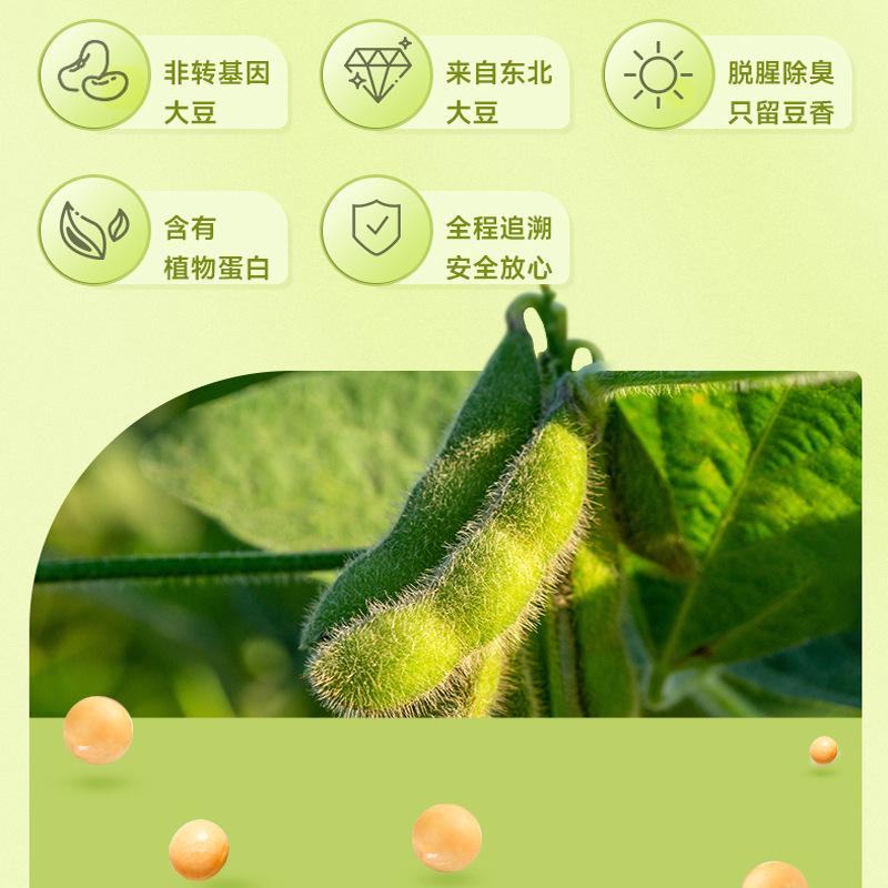 Soybean Powder Breakfast Home & Commercial Instant Plain Soy Flour Large Bag 50 Pounds Bulk Soy Powder Wholesale