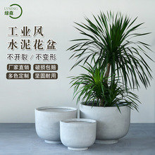 WIL̖AˮV໨͏dسͥԺ̳ǻ