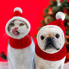 Cute thick wool New Year cat hat pet Christmas headgear dog New Year hat pet accessories knitted hat