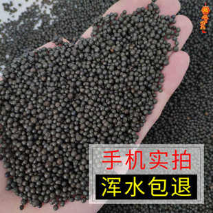 Aquarium Landscaping Ceramsite Sand Fish Tank Cement Package Fish Tank Bottom Sand Fish Tank Sand Fish Tank Soil Bottom Sand Not Wholesale