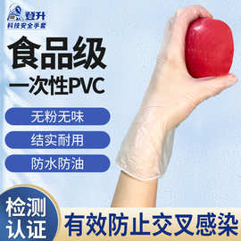 登升一次性PVC透明手套外出防护洗碗防防油水家用美容手套批发