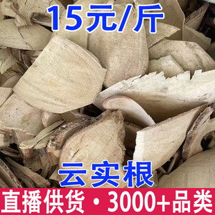 녌��� ţ���ĸ� ����̸����l���l