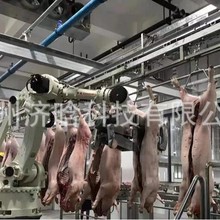 三点式托胸麻电输送机,机器人劈半锯,运河式烫毛机,猪燎毛炉