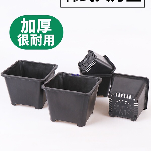 Square black white flowerpot flower-shaped