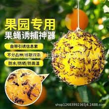 ����ճ�x�����ˈ@��ω�T�������Tω����ٴ�ω�Ϲ���ω�T����